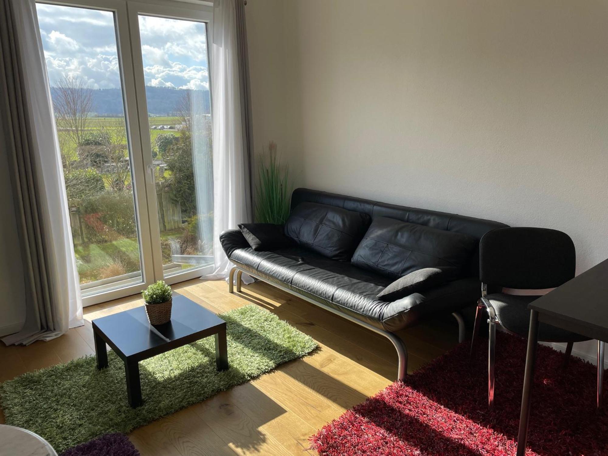 Feierabend Apartment Gottmadingen Luaran gambar